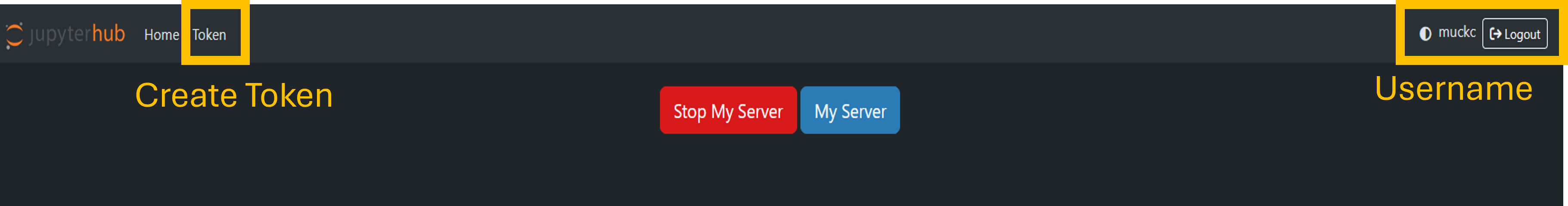 showing the GUI of the Jupyter Hub Control Panel